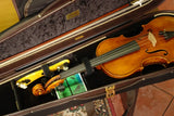 Musafia Lievissima Evolution Dart violin case