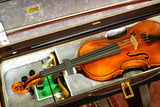 Musafia Lievissima Evolution Oblong violin case