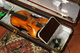 Musafia Lievissima Evolution Oblong violin case