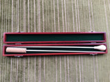 Baton Case